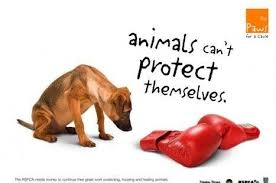 Image result for animal protection