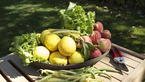 Vegetable Gardening How To Grow