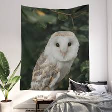 Barn Owl In The Forest Wall Tapestry By