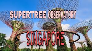 supertree observatory in gardens by the