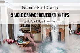 Mold Damage Restoration Tips