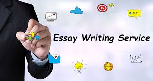 Essay Help   Essay Writer Essay Writing