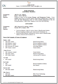 Resume CV Cover Letter  how to write a resume for a nanny job        jennywashere com