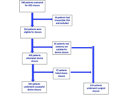 Flow Chart Depicting Patient Evaluation And Treatment Asd