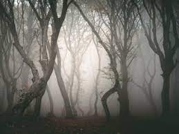 these 19 haunted forests around the