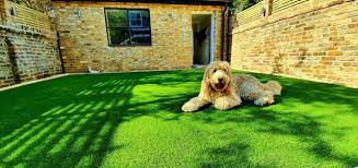 Artificial Grass For Dogs Pets Leeds
