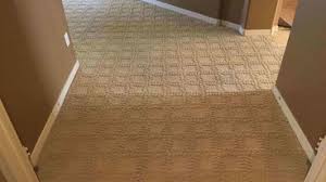 best 15 carpet cleaners in new river