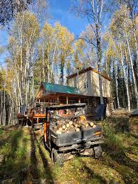Remote alaskan cabins for sale. Altmans Tiny Log Cabin Build In Remote Alaska Home Facebook