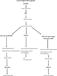Flow Chart Showing The Steps For The Image Analysis