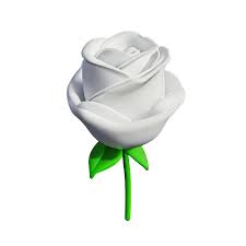 white rose 3d rendering icon
