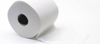 can hamsters eat toilet paper