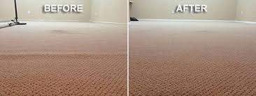 carpet repairs purelements carpet