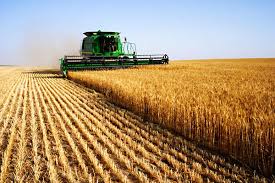 Careers In Agricultural Engineering How To Become An