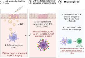 lipid nanoparticles stimulate innate