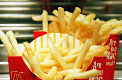 Are McDonald fries vegetarian?