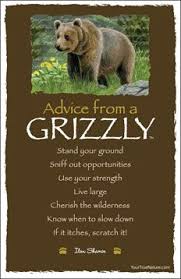 Human beings have been in awe of bears since the dawn of history. Advice From A Grizzly Postcard Nature Quotes Bear Quote Insightful Quotes