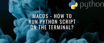 run python script on the terminal