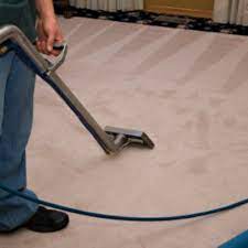 carpet cleaning in palm harbor