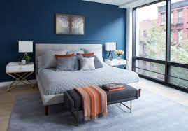 blue accent wall photos ideas houzz