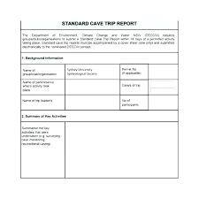 Business Travel Report Template