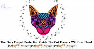 the only carpet protection guide cat