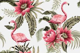 flamingo wallpaper images browse 32