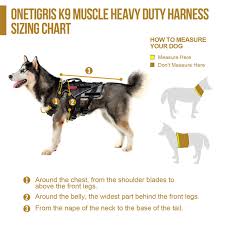 Onetigris No Pull No Slide Padded Reflective Dog Vest
