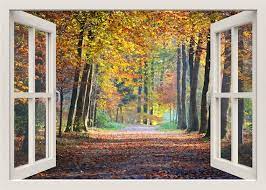 Autumn Trees 3d Window Wall Decal
