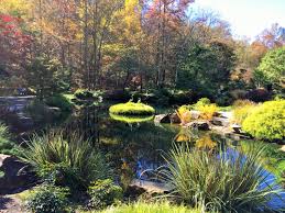 fall foliage at atlanta s gibbs gardens