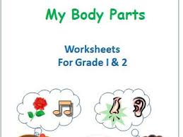 In this science worksheet, students identify the placement of the main parts of the human body. Body Parts And Sense Organs For Grade 1 And 2 Teaching Resources