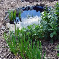 build a small pond for the garden