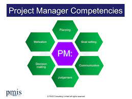 project manager s role and