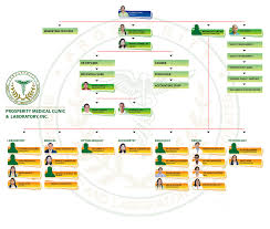 Organizational Chart Of A Hospital Laboratory Www