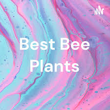 Best Bee Plants