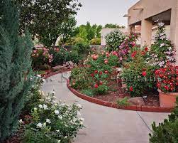 Rose Roof Garden Rose Garden Design
