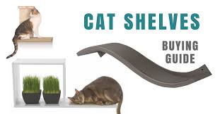 Cat Shelves Guide Kitty Loaf