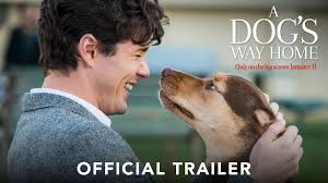 Drop everything back down to silence, just to build it all the way back up. Teaser Trailer On Twitter A Dog S Way Home Movie Trailer Https T Co O9byfyrofy Starring Bryce Dallas Howard Ashley Judd Jonah Hauer King And Alexandra Shipp Adogswayhome Adogswayhomemovie Dog Https T Co Nrjizlfvz2