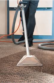 eagan carpet cleaning pros