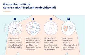 We did not find results for: Covid 19 Impfung Aktuelles Helmholtz Zentrum Fur Infektionsforschung