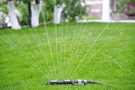 Best Oscillating Sprinkler For Your Garden