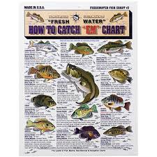 Waterproof Fishing Charts How To Catch Em Chart