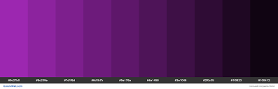 The neon violet & turquoise color scheme palette has 5 colors which are french violet (#7500d7), electric violet (#8f00fe), vivid violet (#ac00ff), bright turquoise (#09eae1) and turquoise surf (#00c1cb). Colorswall Ø¹Ù„Ù‰ ØªÙˆÙŠØªØ± Shades Of Material Design Purple Color 9c27b0 Hex 9c27b0 8c239e 7d1f8d 6d1b7b 5e176a 4e1458 3e1046 2f0c35 1f0823 100412 Colors Palette Https T Co Nvcii63qru Https T Co Xqpuz8i2ku ØªÙˆÙŠØªØ±