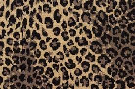leopard black carpet langhorne carpet
