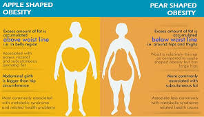 Abdominal Obesity Visceral Fat Abdominal Fat Bmi