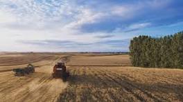 Cuáles son las mejores épocas de siembra y cosecha en Argentina