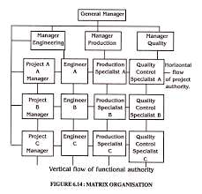 5 Main Types Of Organisational Structure