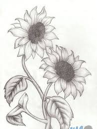 Atau, kamu bisa juga menambahkan sketsa bunga indah yang ada di hutan. Sketsa Gambar Bunga Matahari Cara Golden