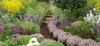 Garden design with little fountain and weeping birch. Medicinal Herb Garden Design Windowsunity