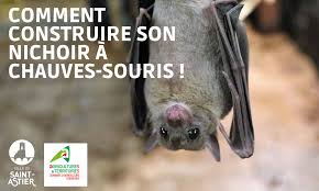 son nichoir à chauves souris