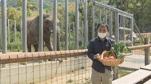 物価高騰で餌代も… しろとり動物園がピンチ 香川・東かがわ市 | KSBニュース | KSB瀬戸内海放送